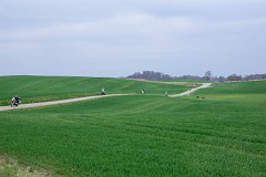 DSC_6996