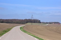 DSC_7230