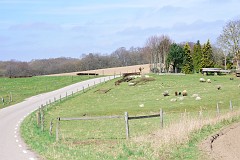 DSC_7231
