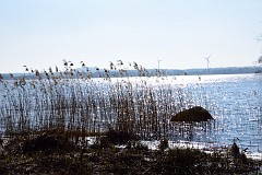DSC_7431