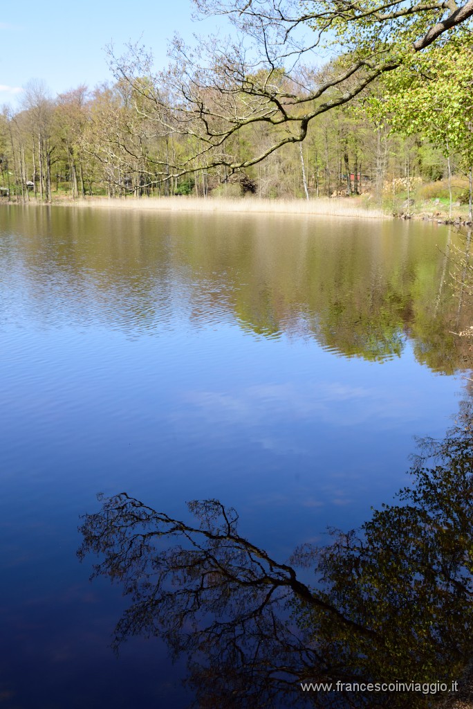 DSC_9010.JPG
