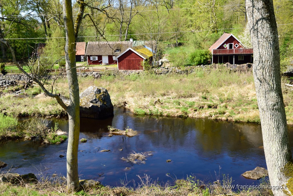 DSC_9121.JPG