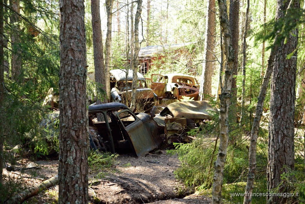 DSC_9324.JPG