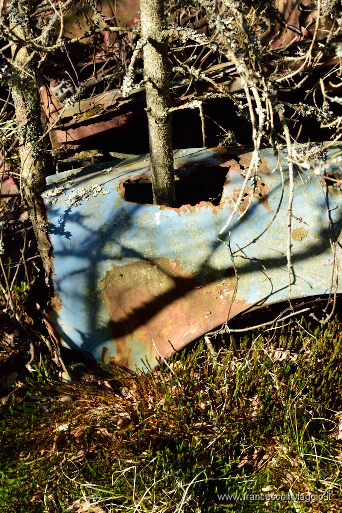 DSC_9407.JPG