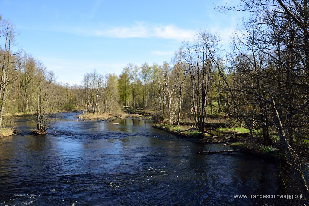 DSC_9429.JPG