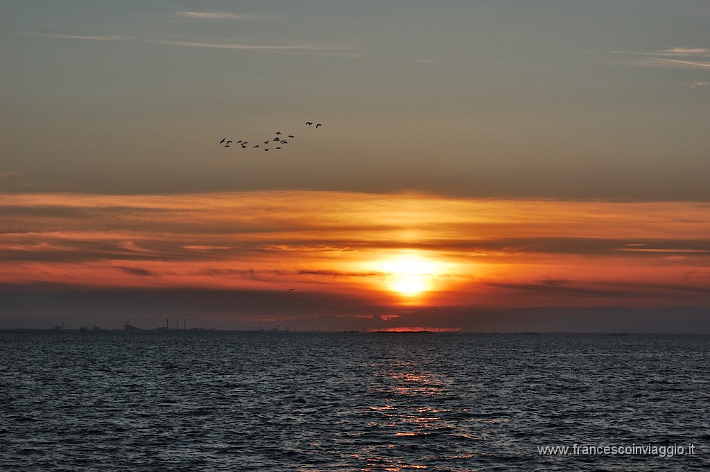 DSC_0467.JPG
