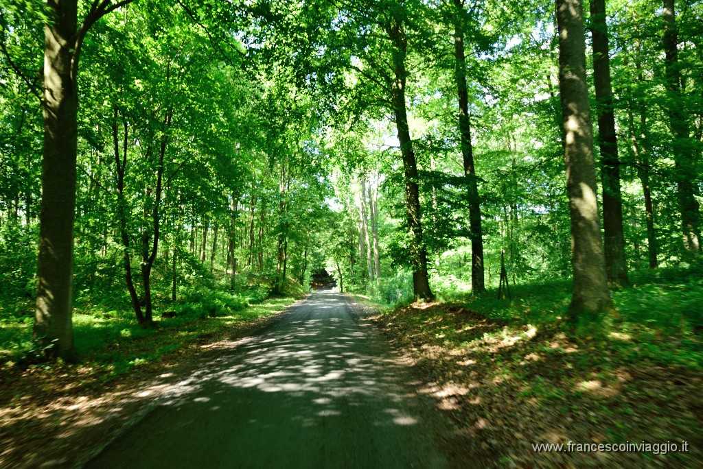 DSC_1186.JPG