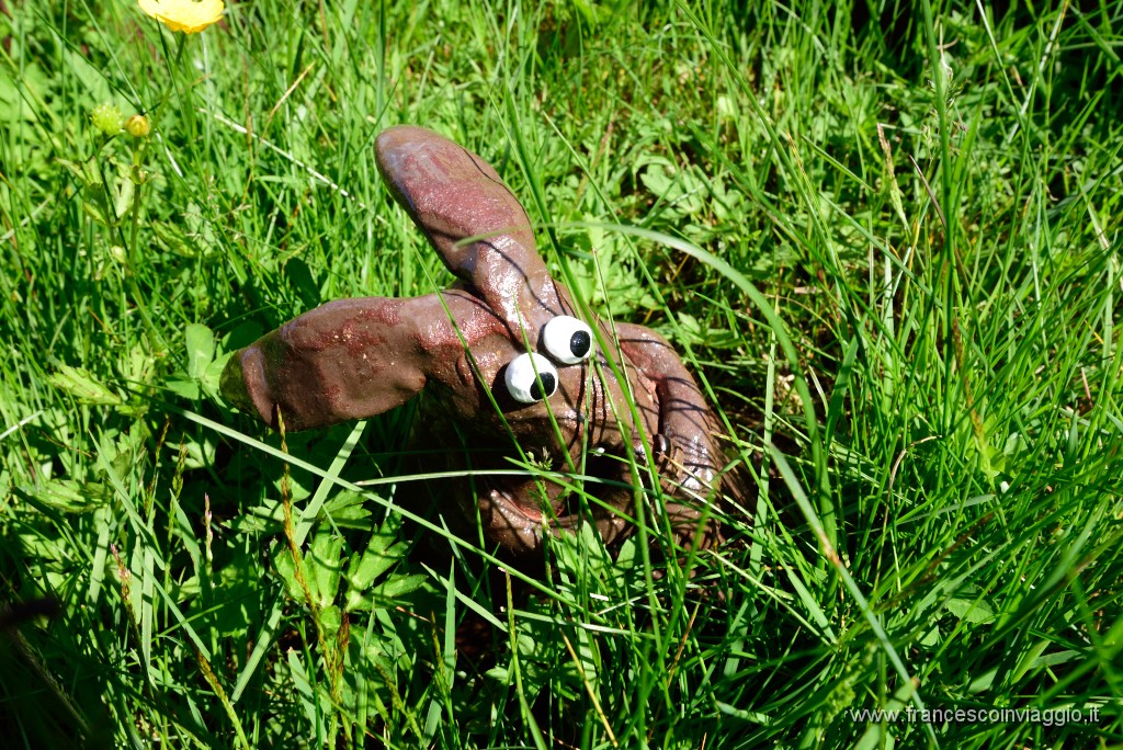 DSC_1264.JPG