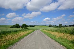 DSC_1104