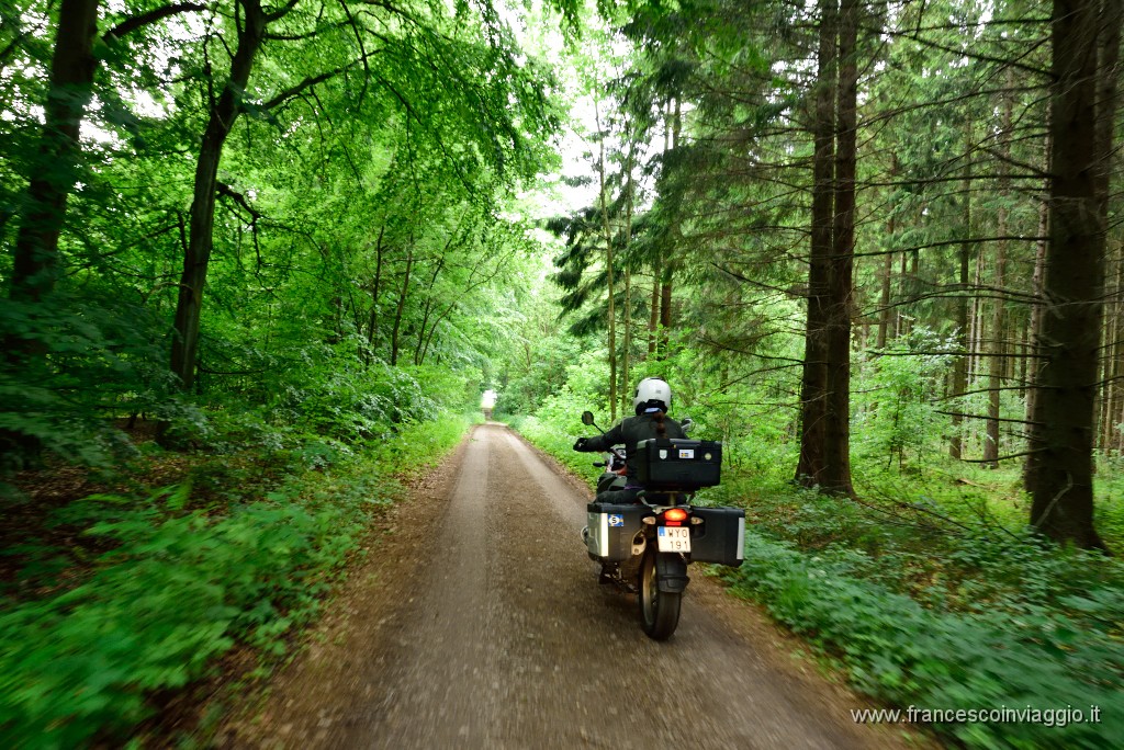 DSC_1385.JPG