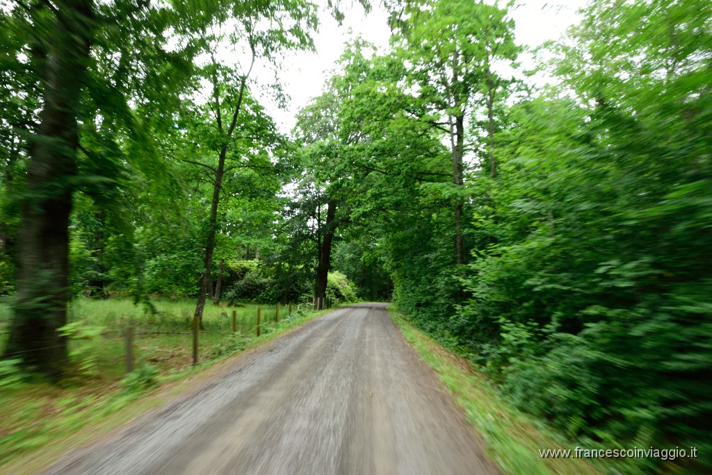 DSC_1416.JPG