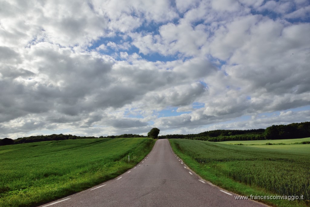 DSC_1437.JPG