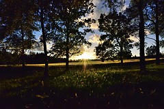 DSC_1609