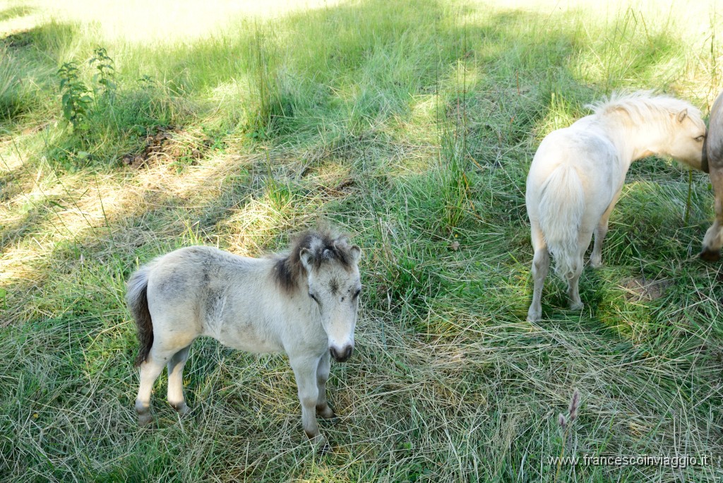 DSC_1692.JPG