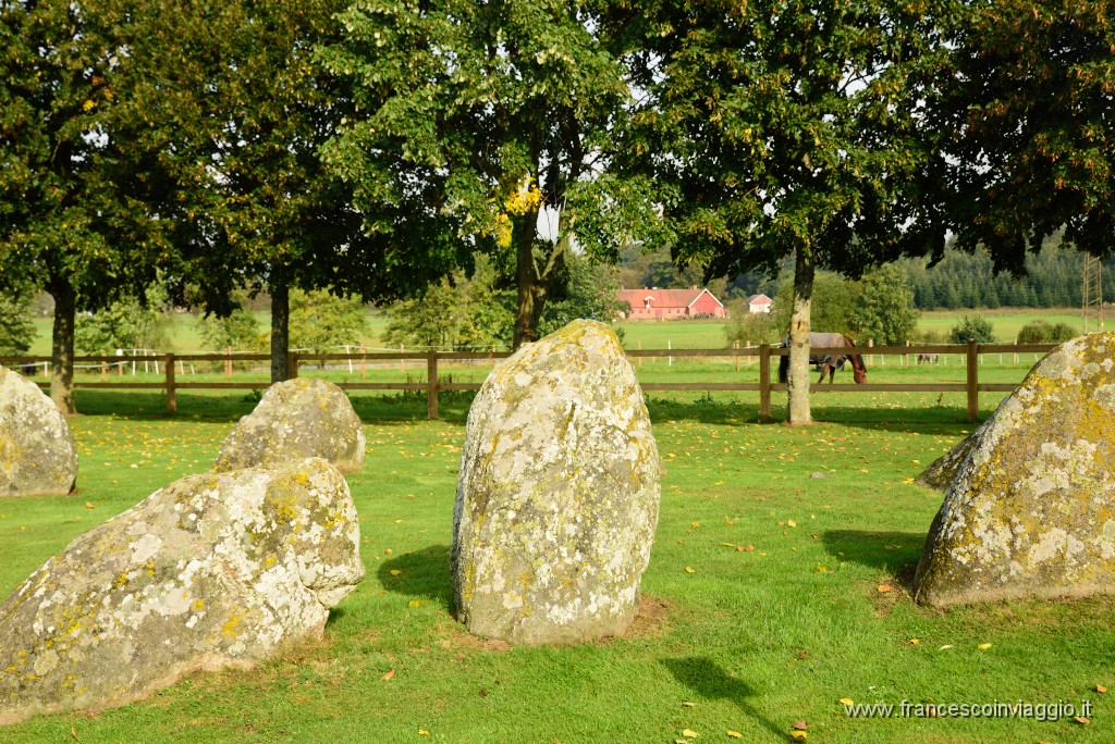 DSC_6200.JPG
