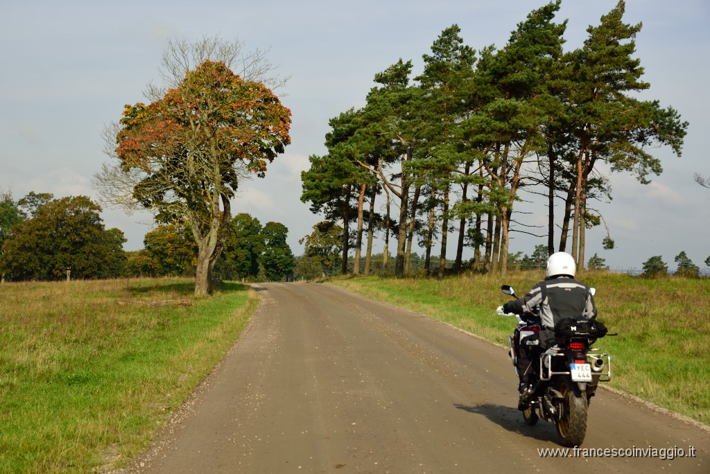 DSC_6227.JPG