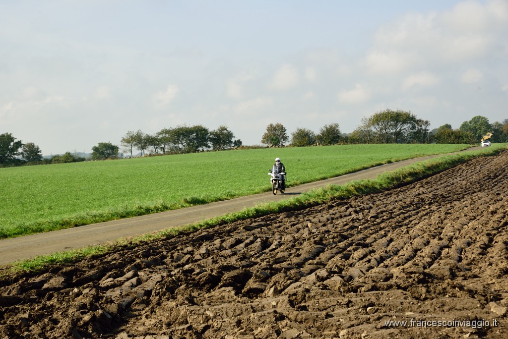 DSC_6336.JPG
