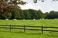DSC_6190