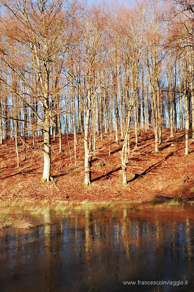 DSC_0540.JPG