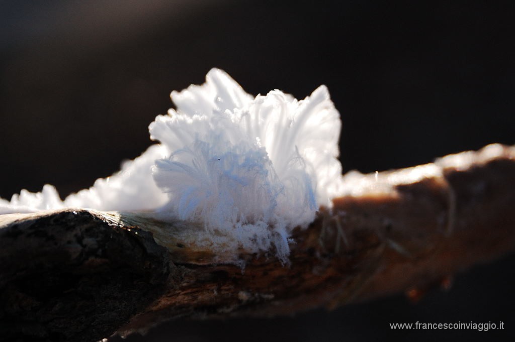 DSC_0557.JPG