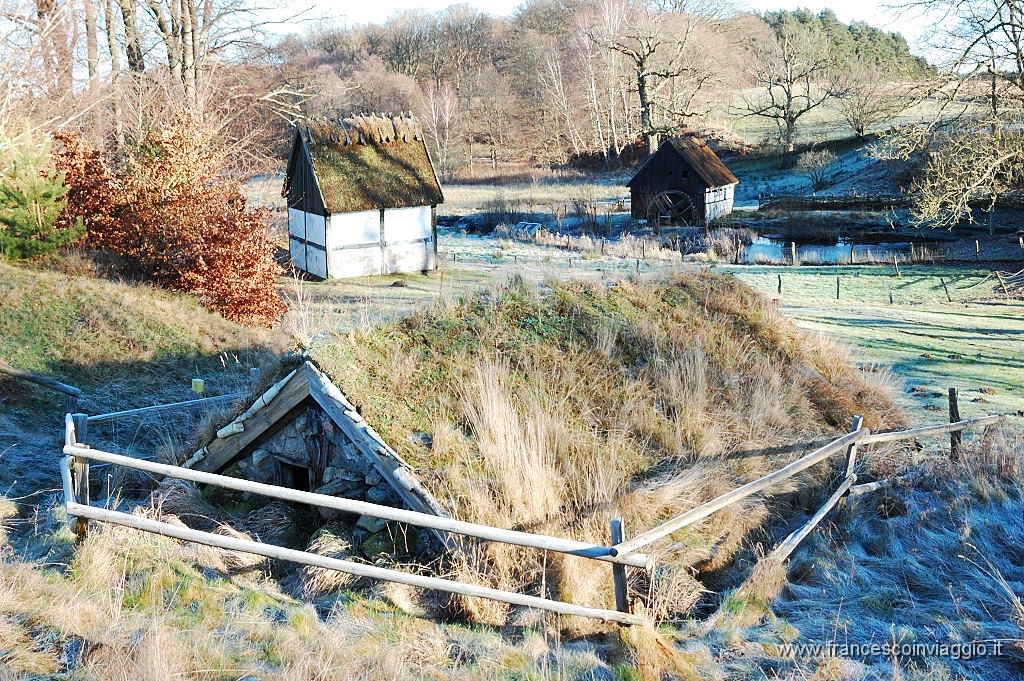 DSC_0593.JPG