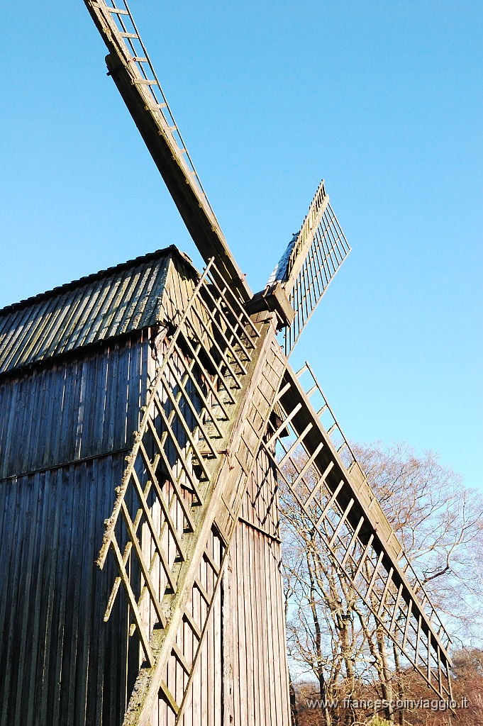 DSC_0601.JPG