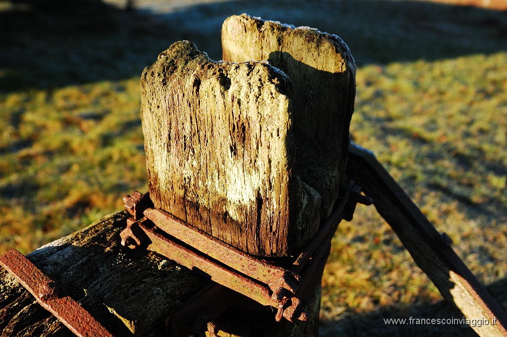 DSC_0670.JPG