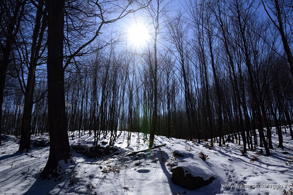 DSC_1135.JPG