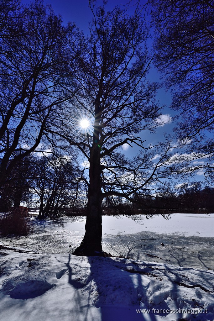 DSC_1150.JPG