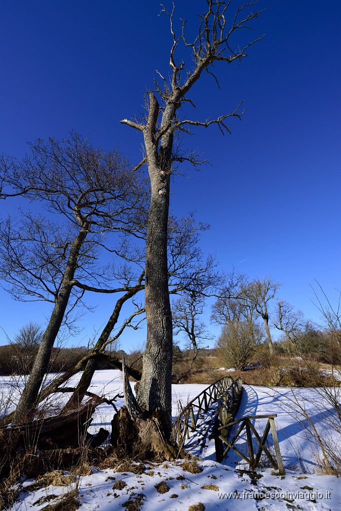 DSC_1241.JPG