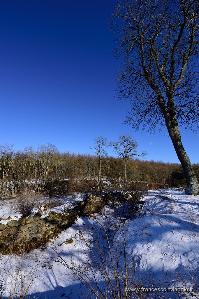 DSC_1247.JPG