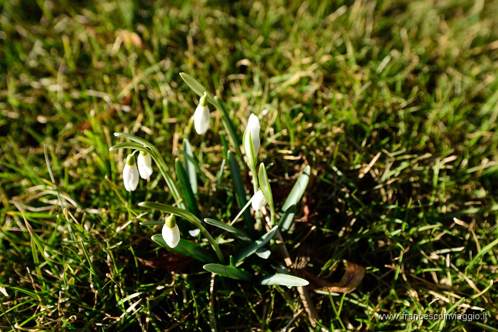 DSC_1272.JPG