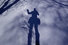 DSC_1154