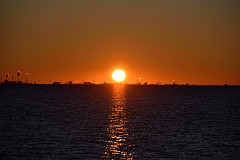 DSC_1369