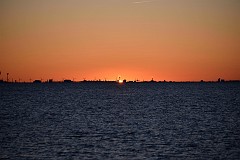 DSC_1381