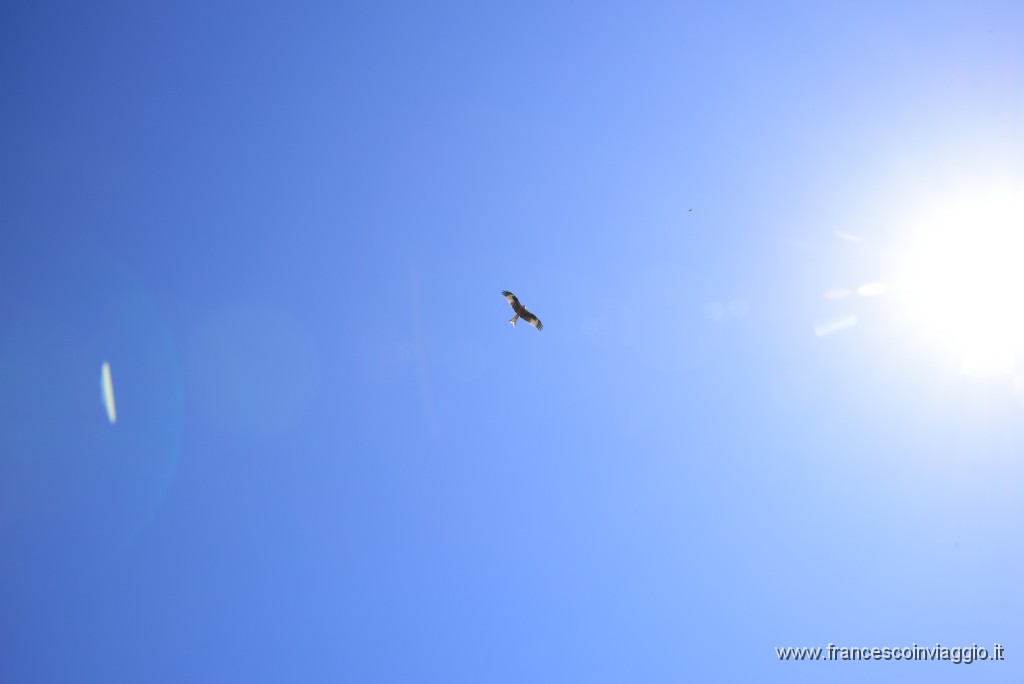 DSC_2724.JPG