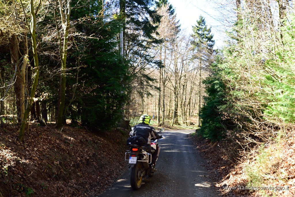 DSC_2827.JPG