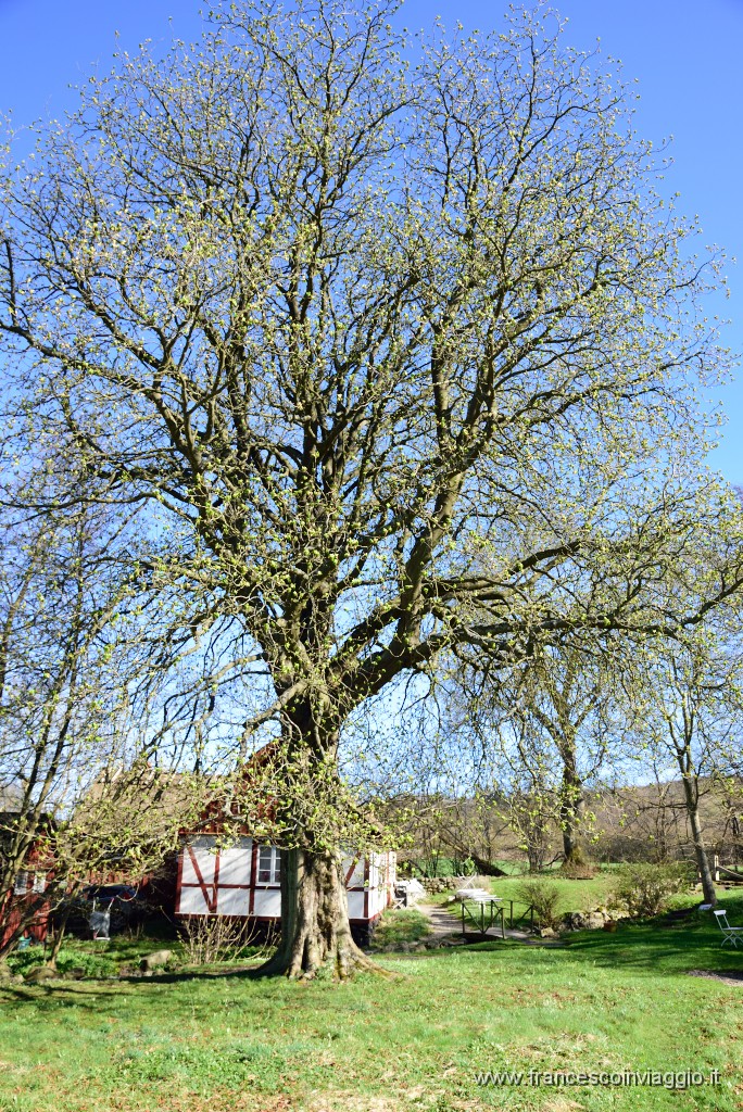 DSC_2874.JPG