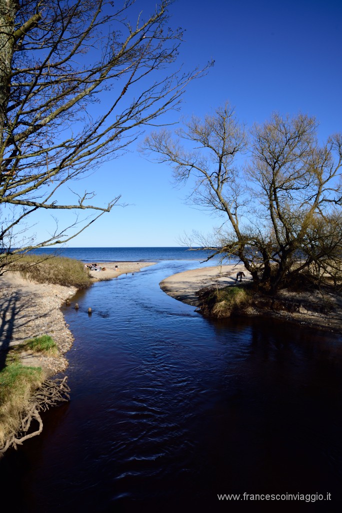 DSC_2903.JPG