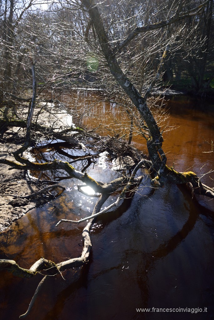 DSC_2907.JPG