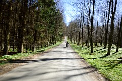DSC_2647