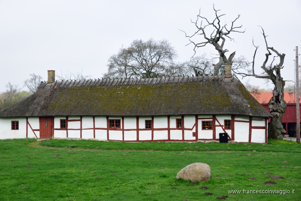 DSC_3120.JPG