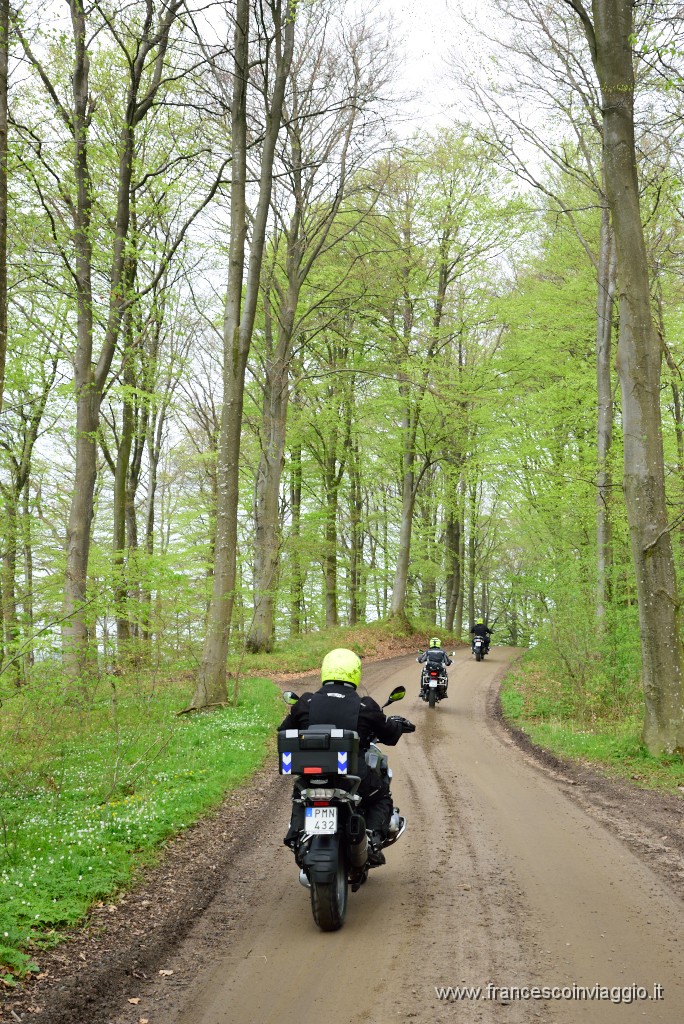 DSC_3124.JPG