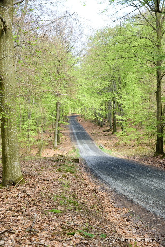 DSC_3314.JPG