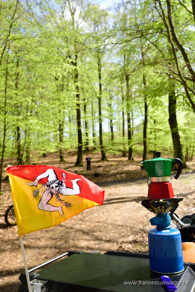 DSC_3317.JPG