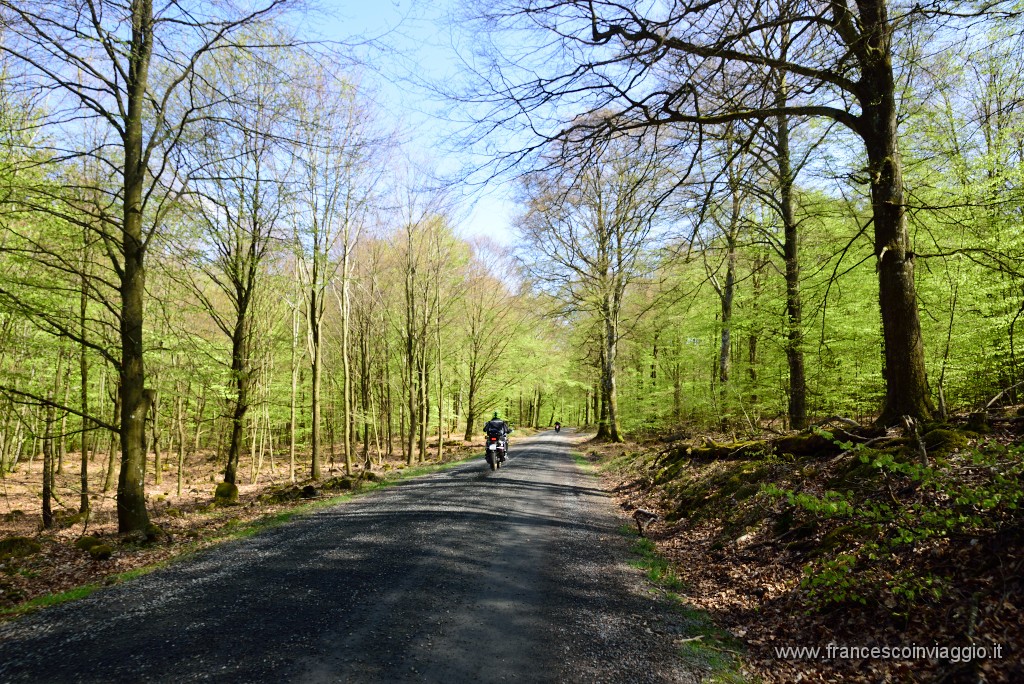 DSC_3341.JPG