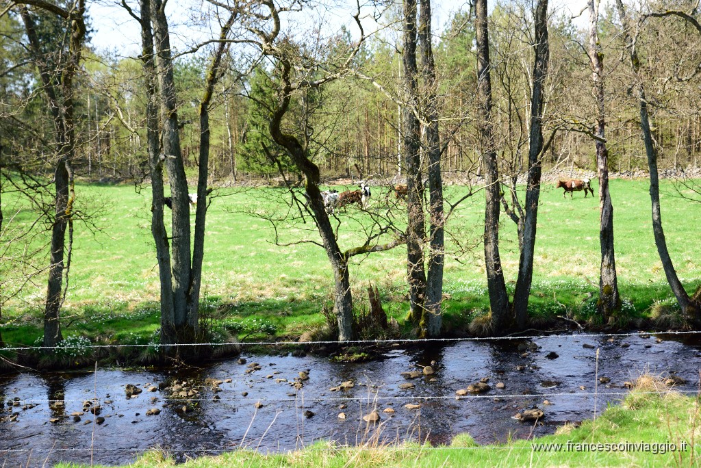 DSC_3390.JPG