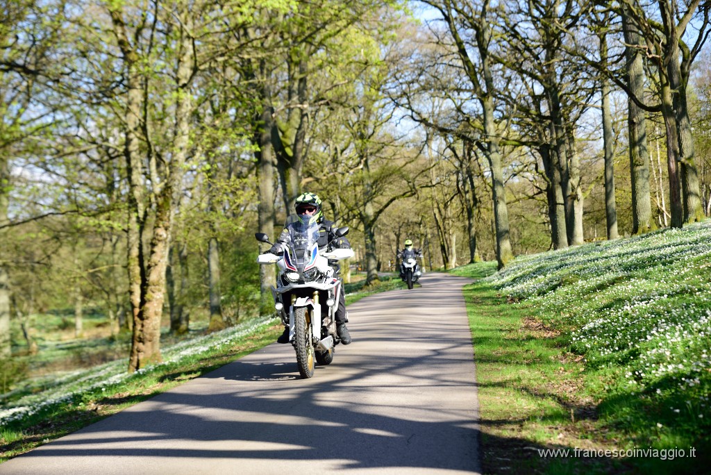 DSC_3500.JPG
