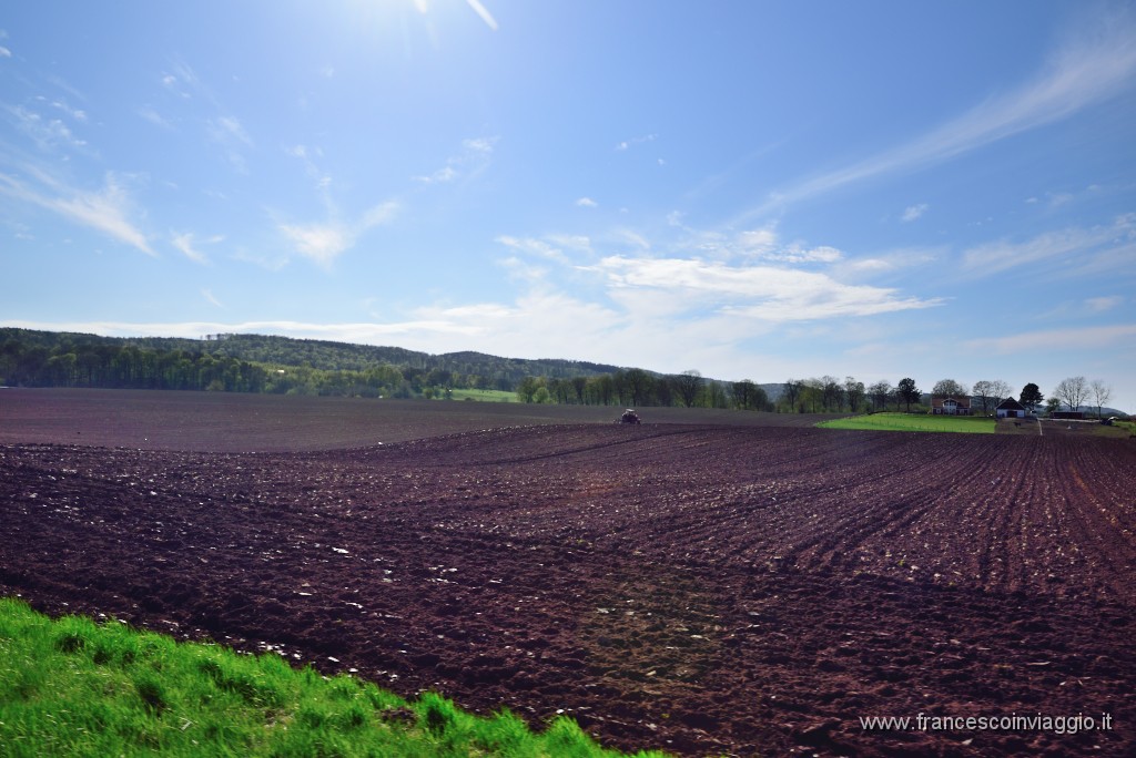 DSC_3518.JPG