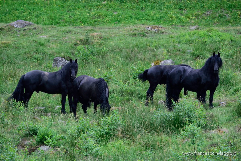 DSC_7144.JPG